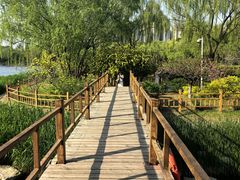 -燕郊植物园