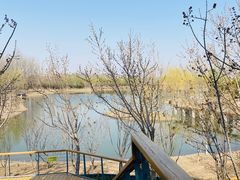 -东郊湿地公园
