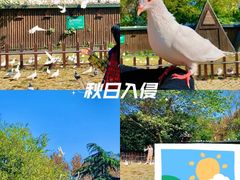 -上海野生动物园