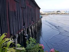 -姓周桥大碗公面