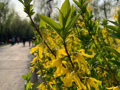 -蜀冈西峰生态公园