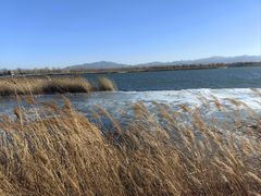 -野鸭湖国家湿地公园
