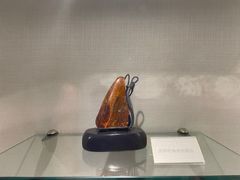 -抚顺煤矿博物馆