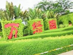 -万绿园