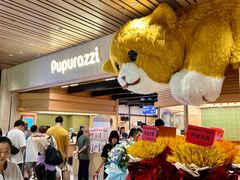 -帕帕拉兹宠物(亚洲旗舰店)