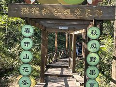 -大岭沟猕猴桃谷风景区