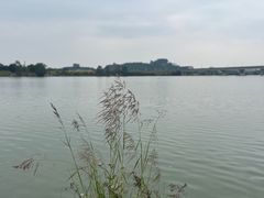 -江东鲈鱼馆(正江东)