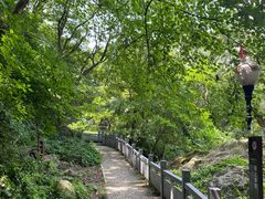 -句容茅山景区
