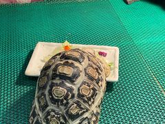 -上海大自然野生昆虫馆