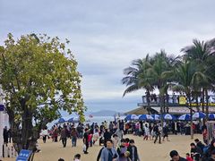-大梅沙海滨公园