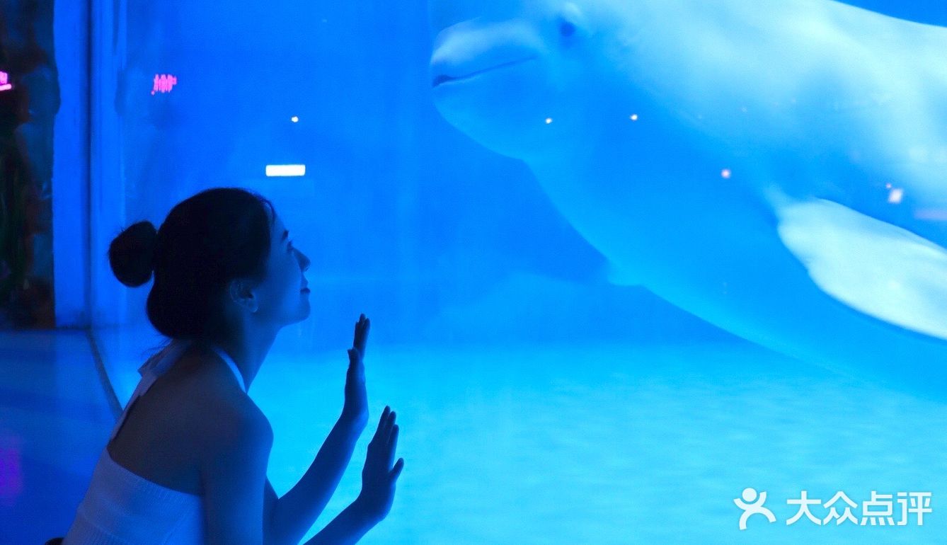 重庆周末|超🈶️feel 情侣拍照绝绝子