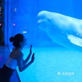 重庆周末|超🈶️feel 情侣拍照绝绝子