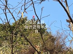 -小南山公园