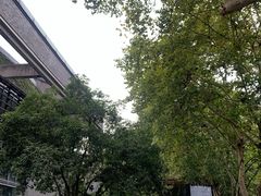 -中国美术学院-美术馆