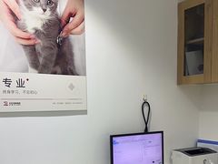 -艾贝尔宠物医院·24H转诊中心·肿瘤猫专科(江宁双龙店)