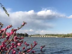 -颐和园