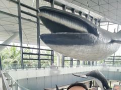 -中国（海南）南海博物馆
