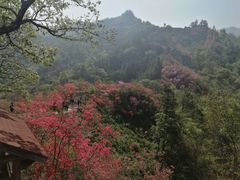 -岳西天峡风景区