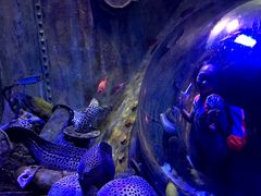 -成都浩海立方海洋公园