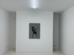 -胶囊画廊