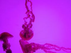 -沈阳海洋探索中心