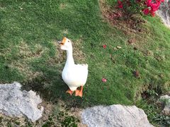 -厦门悦华酒店