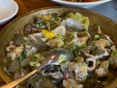 -食德喜·阳山鸡王食研基地