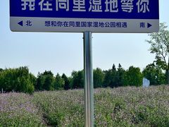 -同里国家湿地公园