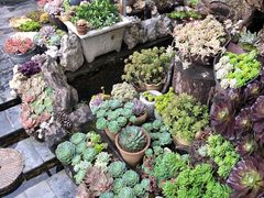 -炊烟餐厅