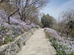 -香山公园