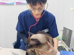 -拜鲁耶动物诊疗中心·宠家动物医院