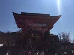 -有栖山 清光院 清水寺