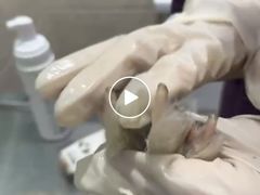 -暖阳宠物医院·犬猫康复中心·骨科