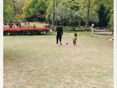 -苏州河梦清园环保主题公园