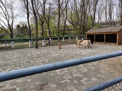 -长白岛森林公园