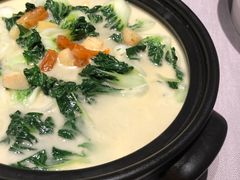 -子福慧(虹桥店)