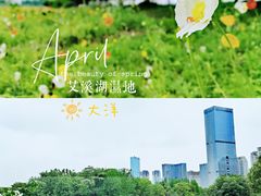 -艾溪湖湿地公园