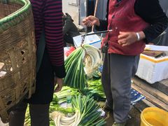 -南门绿玉农贸市场