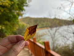 -玉渡山自然风景区