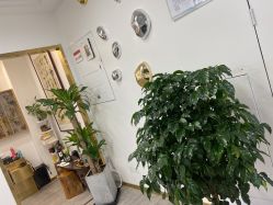 -爱秀造型 T-G
