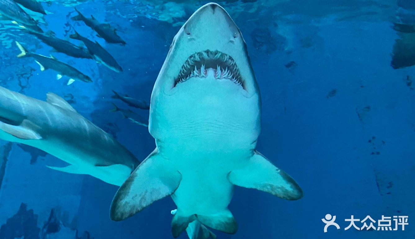 夜宿北京海洋馆