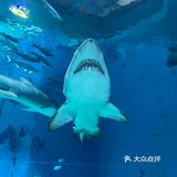 夜宿北京海洋馆