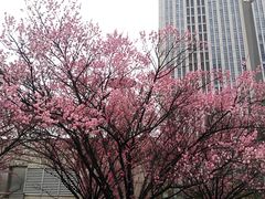 -无锡市市民中心