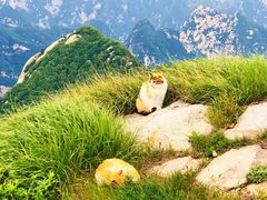 -华山风景名胜区