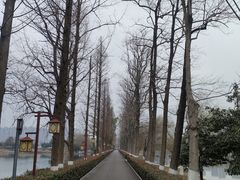 -洋湖国家湿地公园