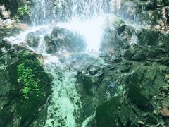 -本溪汤沟绿石谷森林公园