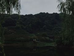 -天地生态农庄