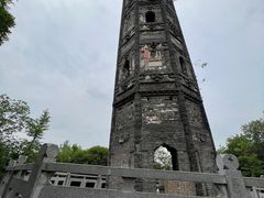 -上海佘山国家森林公园天马山园