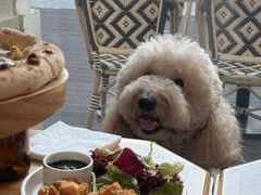 -Grande A'moo(上海万象城店)