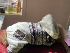 -美联众合动物医院·24h京西诊疗中心